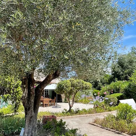 Villa Domaine Des Tuilieres Avec Piscine